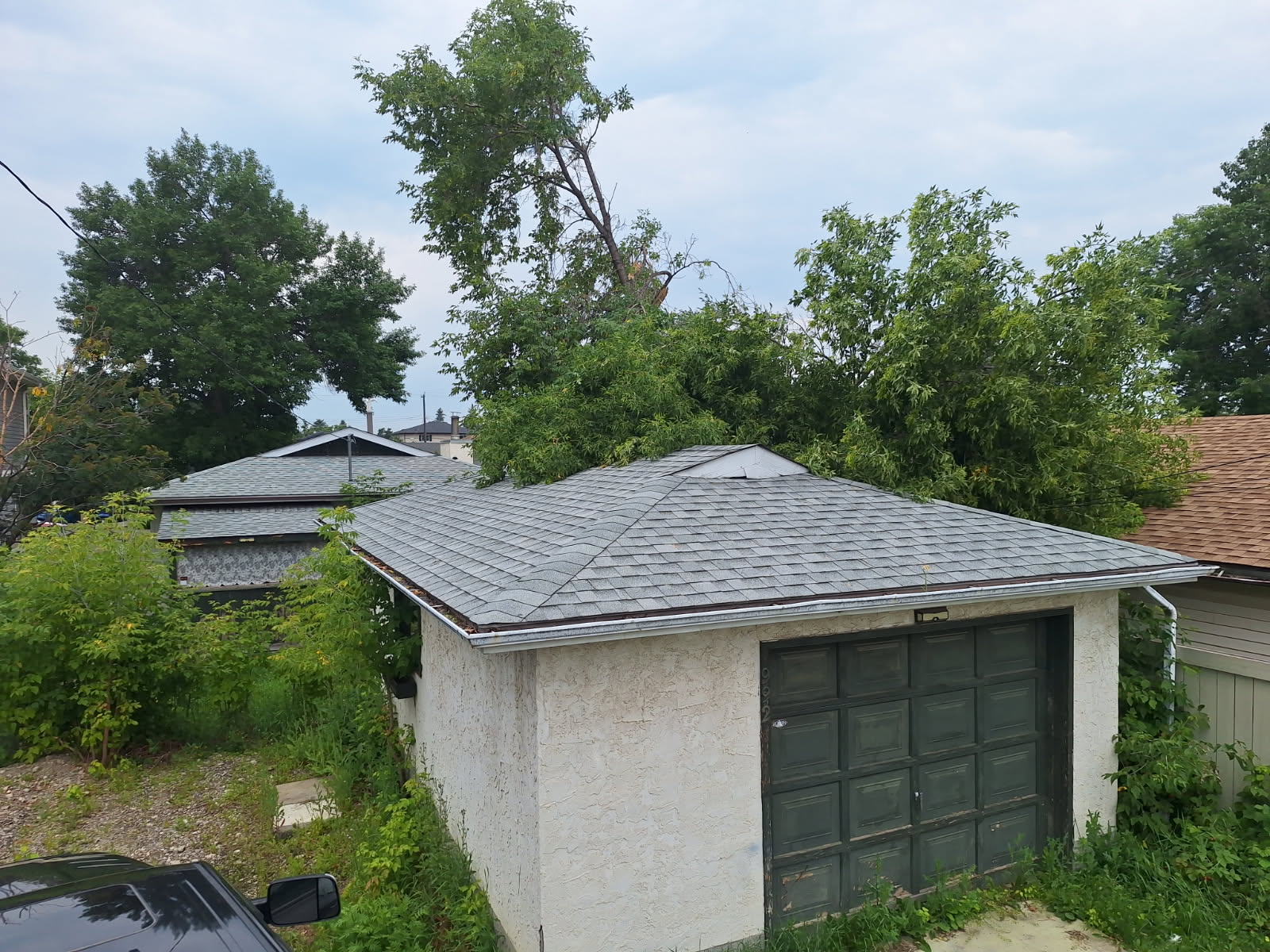 Fallen tree on garage before tree removal